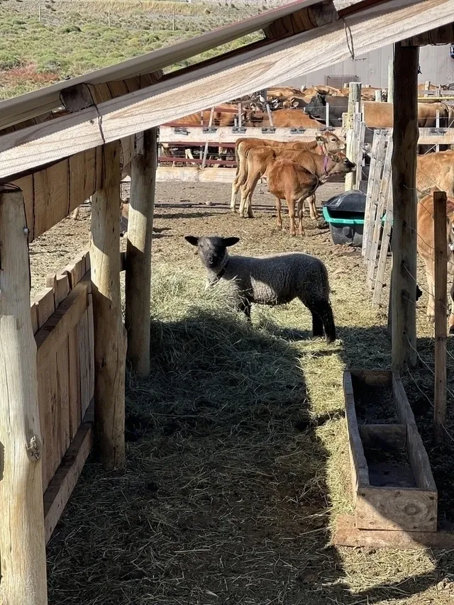 Paisaje de montaña 7