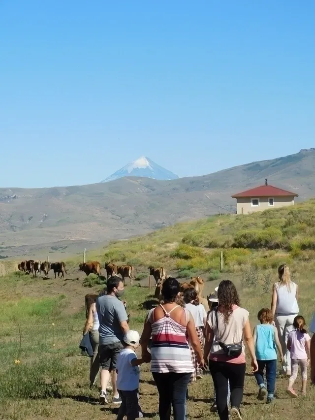 Paisaje de montaña 8