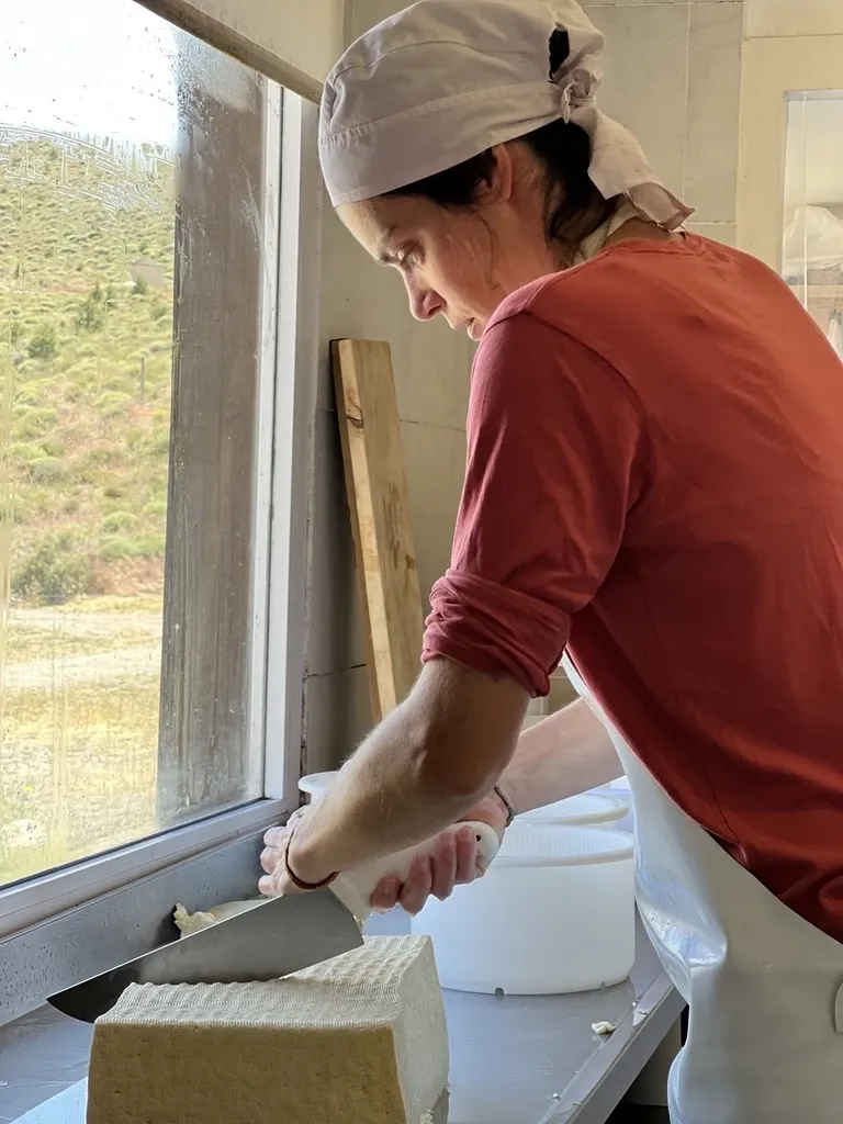 Paisaje de montaña 9