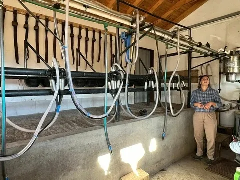 Paisaje de montaña 12