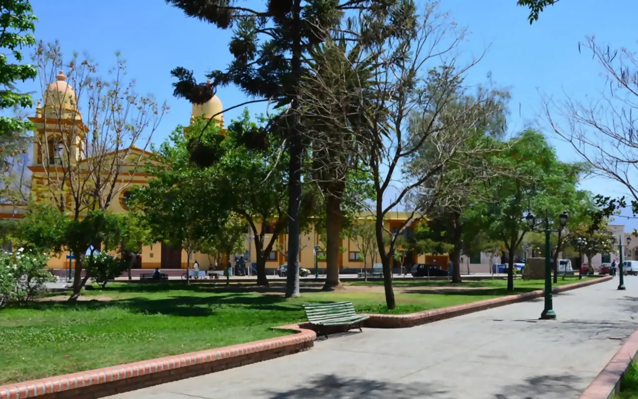 Paisaje de montaña 51