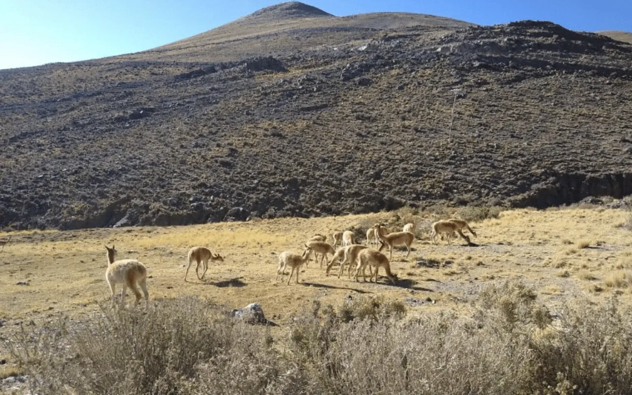 Paisaje de montaña 12