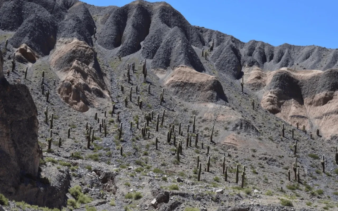 Paisaje de montaña 3
