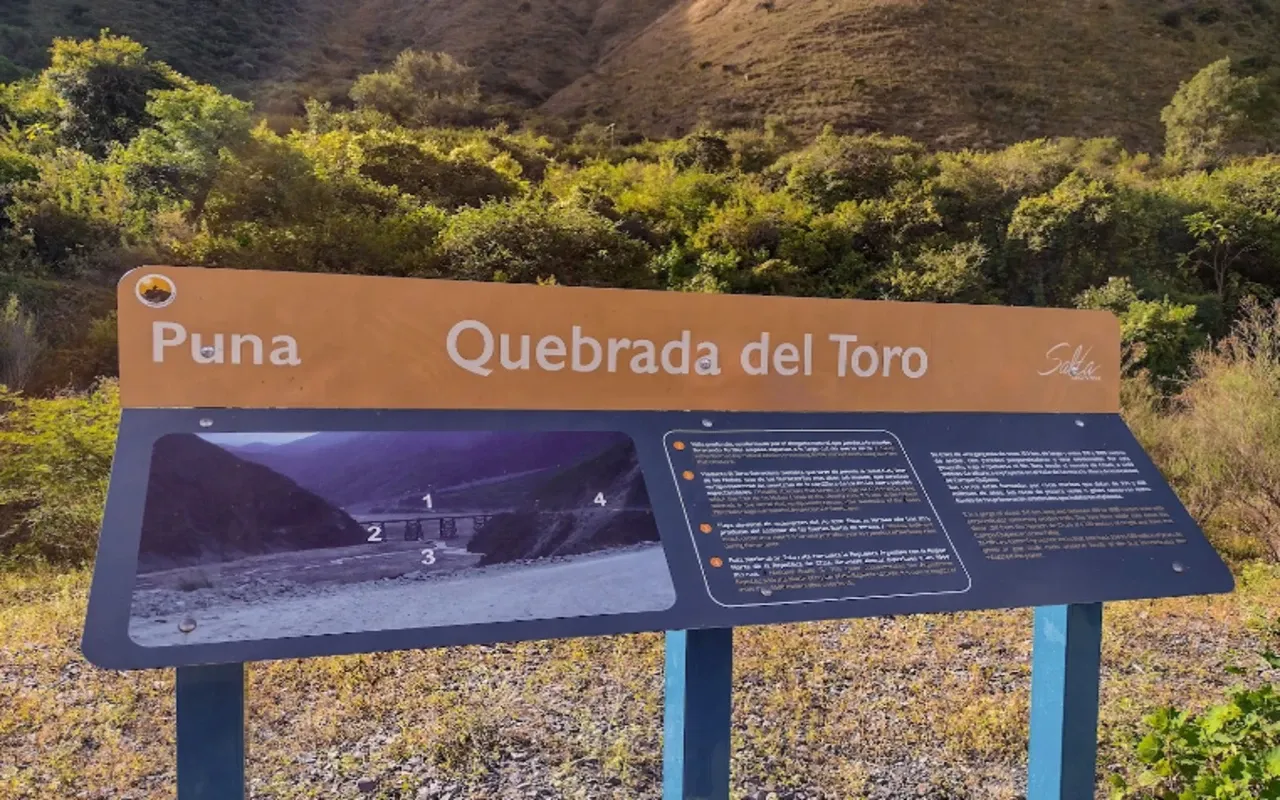 Paisaje de montaña 19