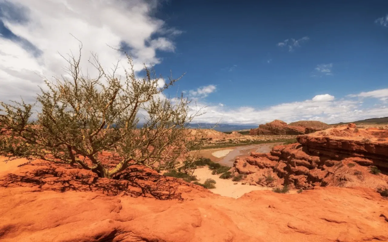 Paisaje de montaña 36