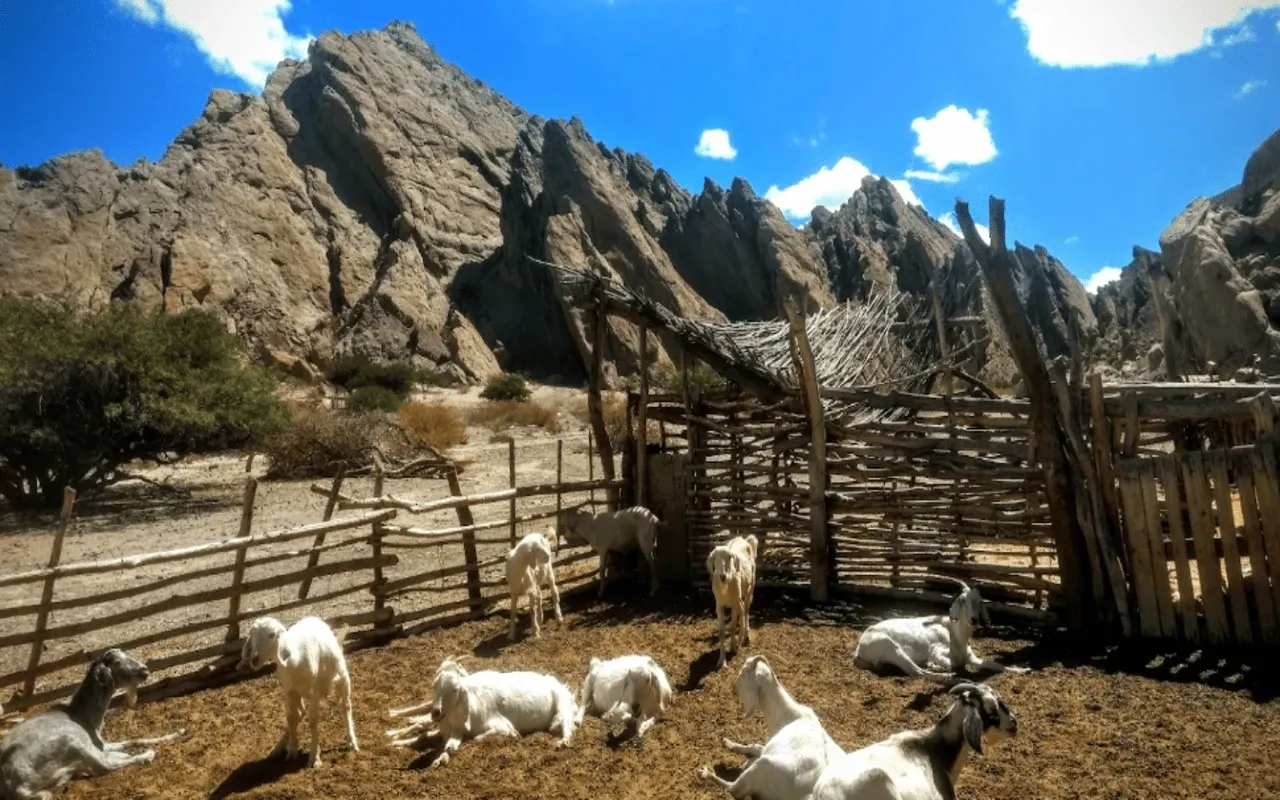 Paisaje de montaña 6