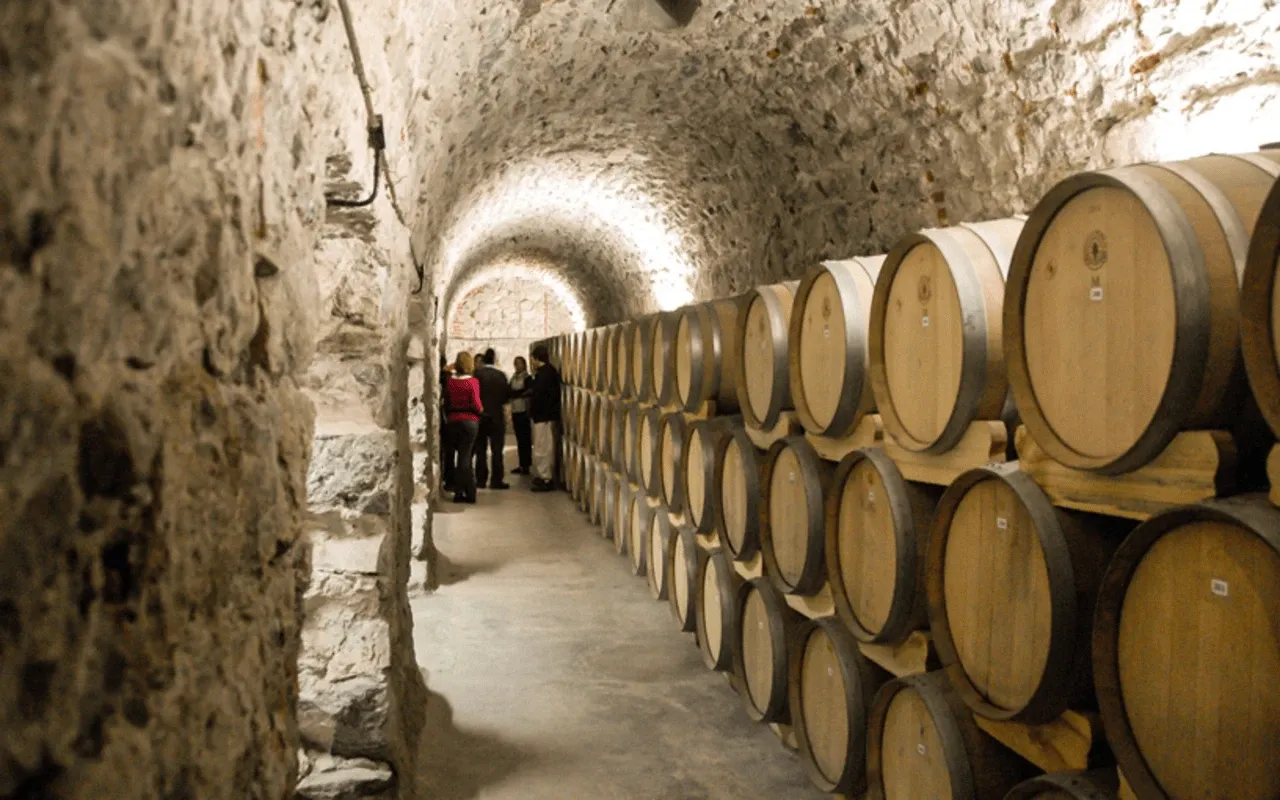 Paisaje de montaña 18