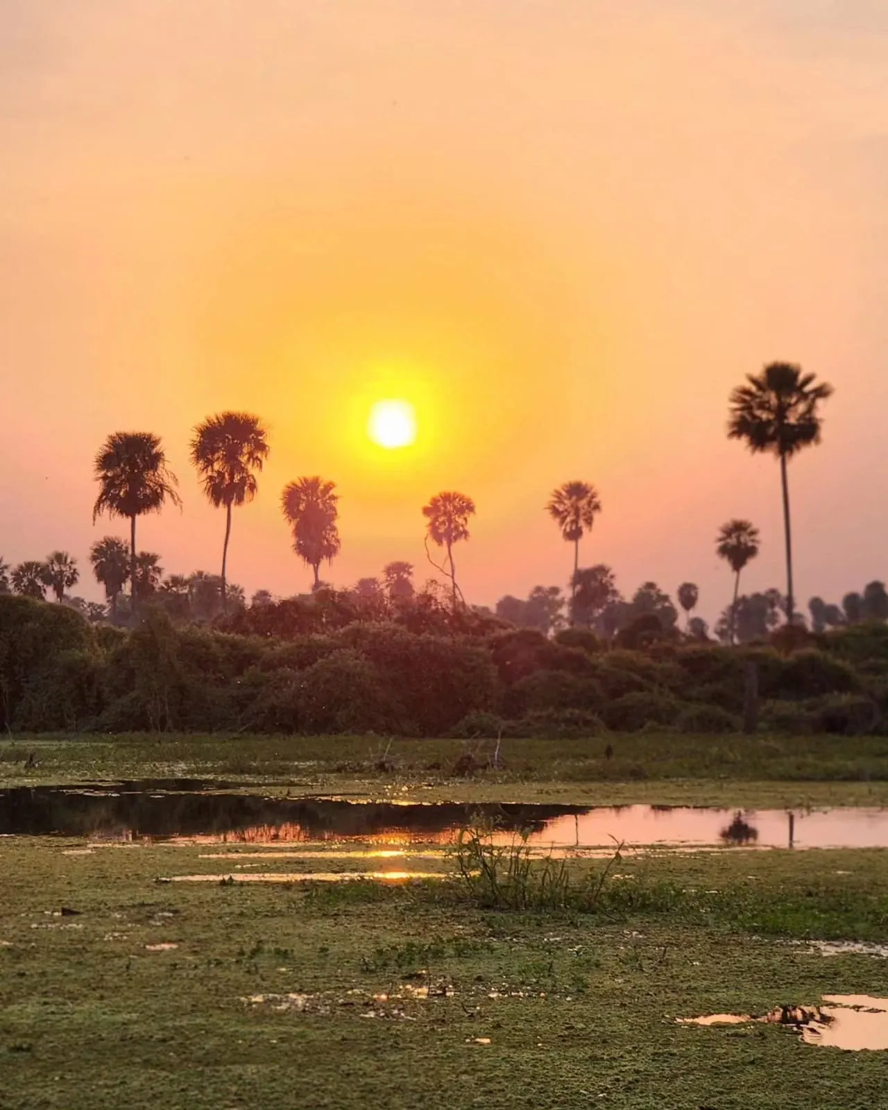 Paisaje de montaña 7