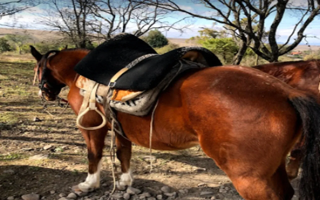 Paisaje de montaña 5