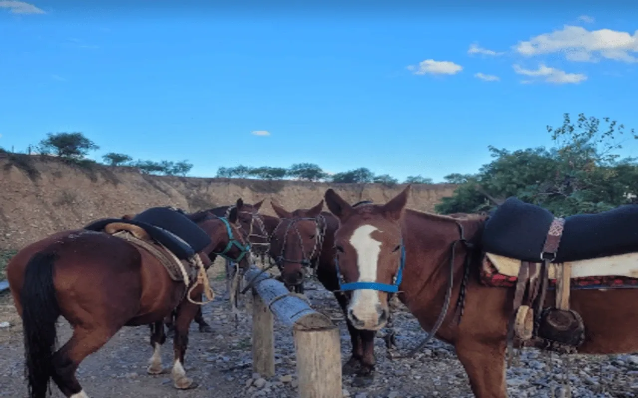 Paisaje de montaña 6