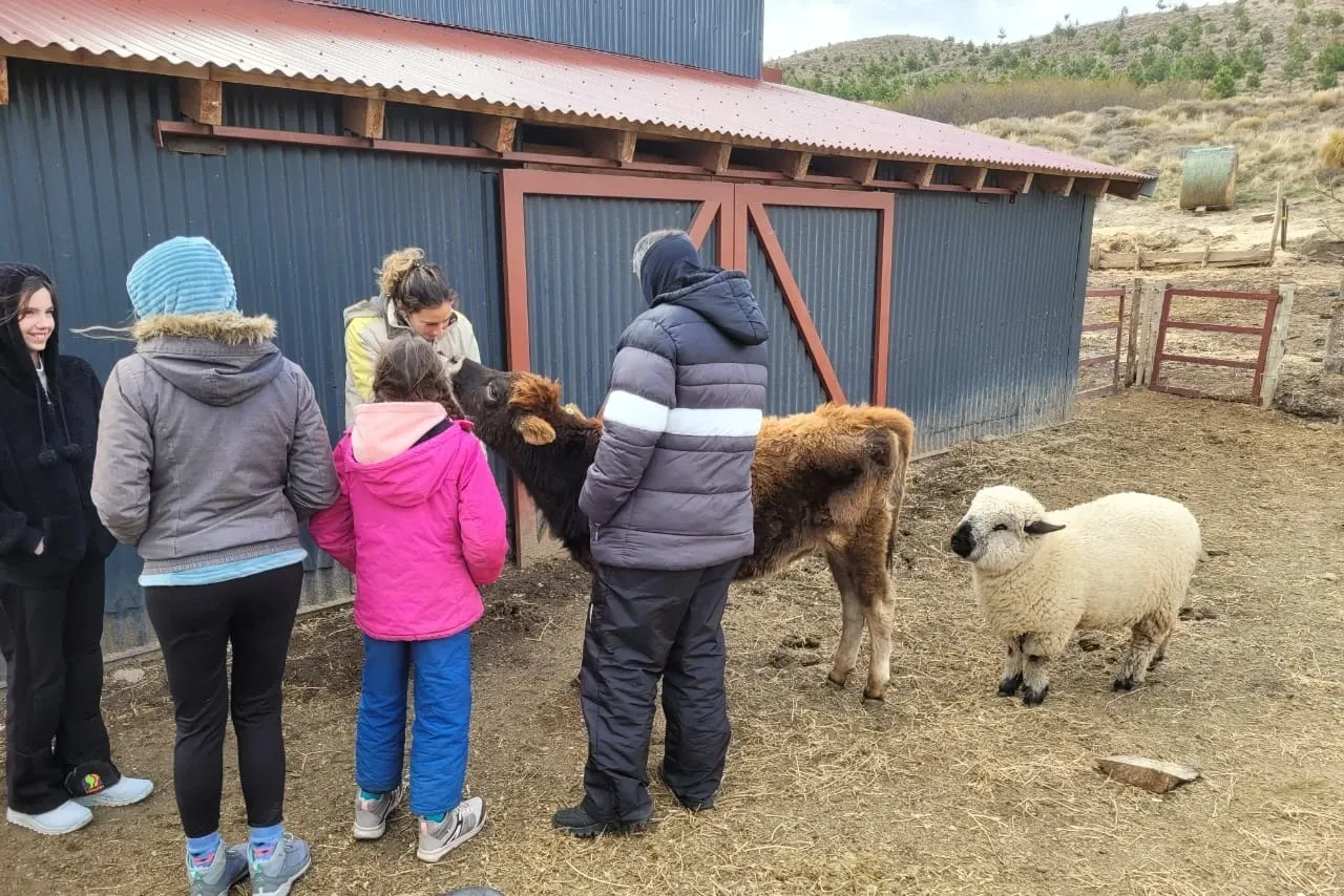 Paisaje de montaña 5