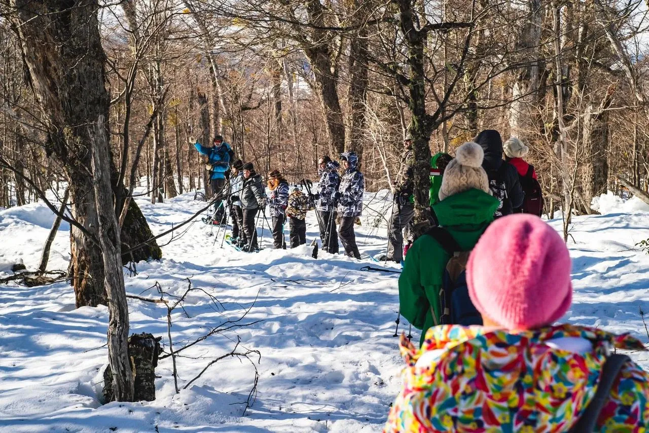 Paisaje de montaña 11