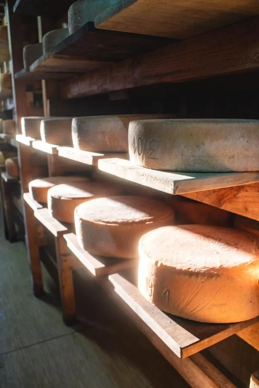 Paisaje de montaña 13