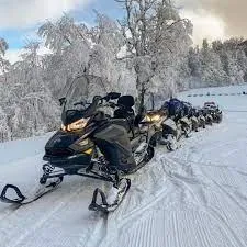 Paisaje de montaña 6