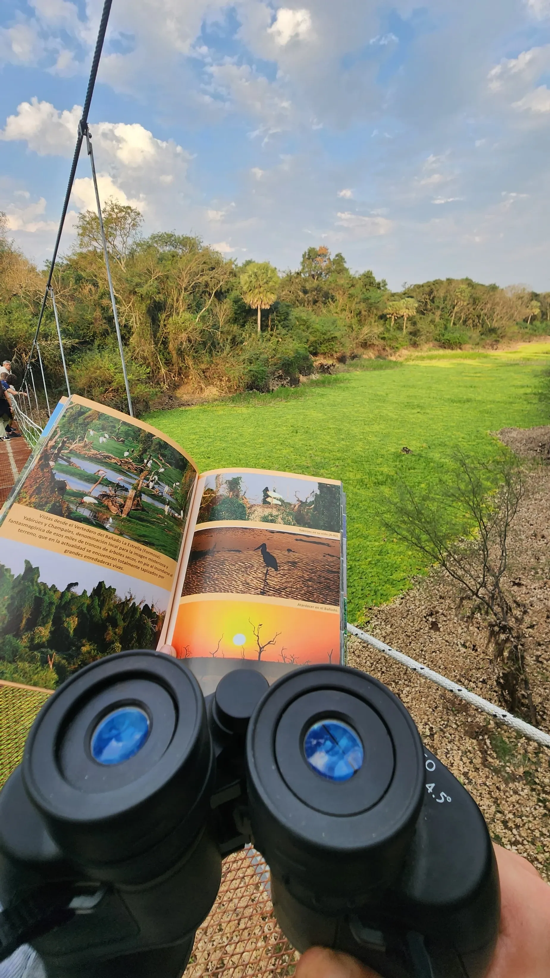 Paisaje de montaña 3