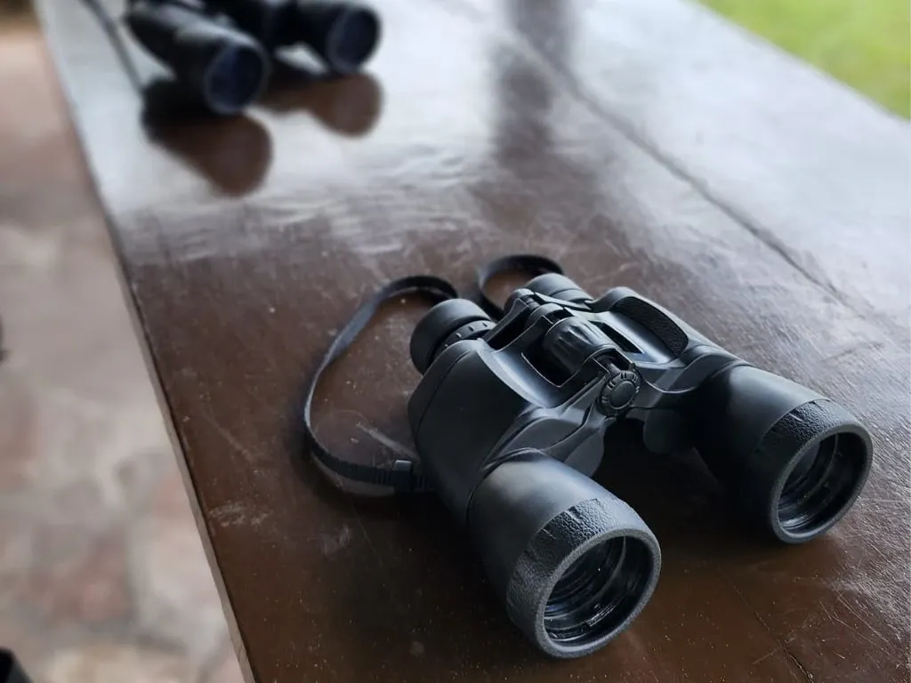 Paisaje de montaña 5