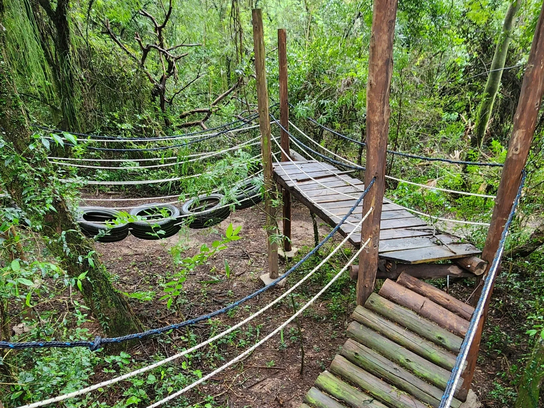 Paisaje de montaña 8