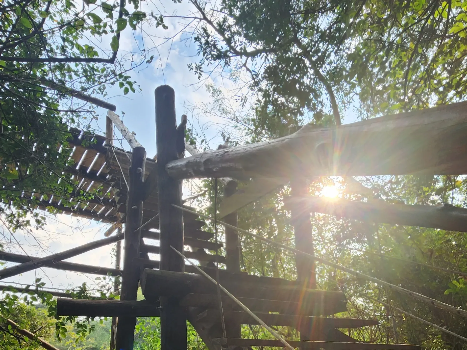 Paisaje de montaña 10