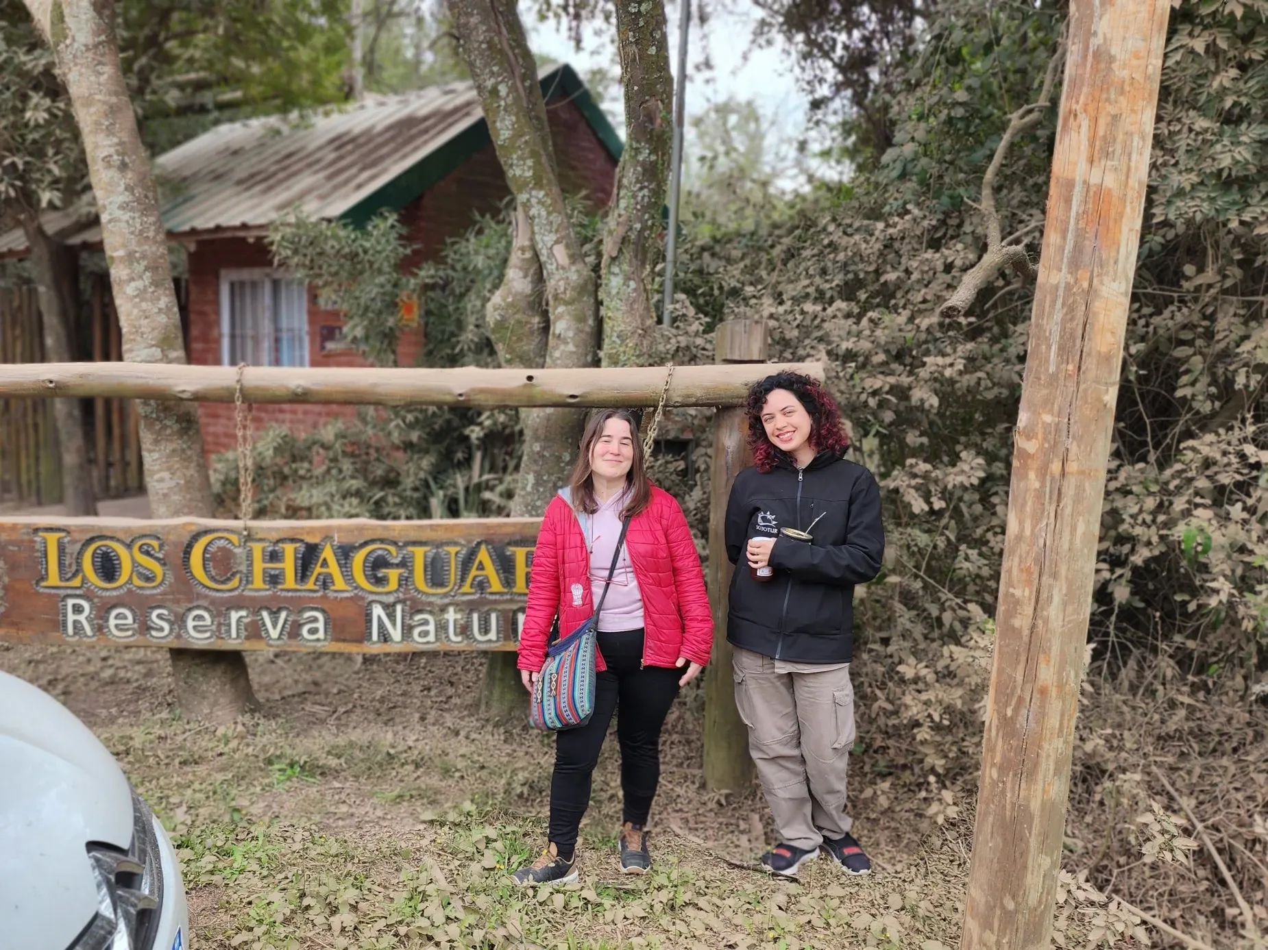 Paisaje de montaña 12