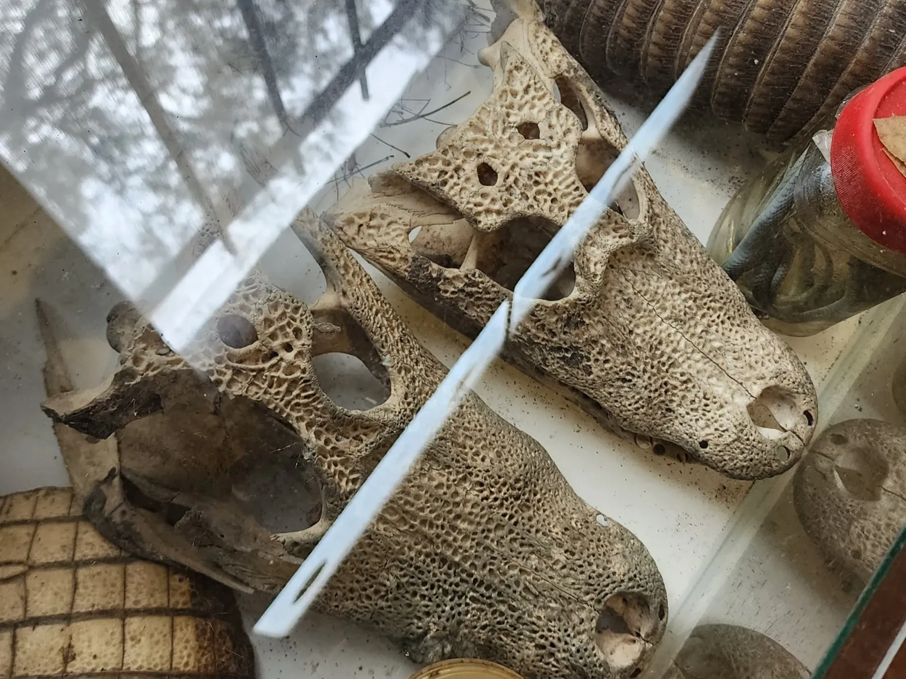 Paisaje de montaña 13