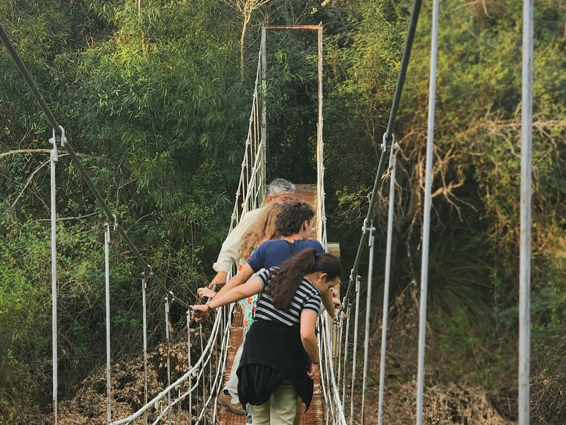 Paisaje de montaña 14