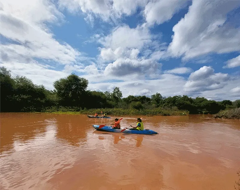 Paisaje de montaña 13