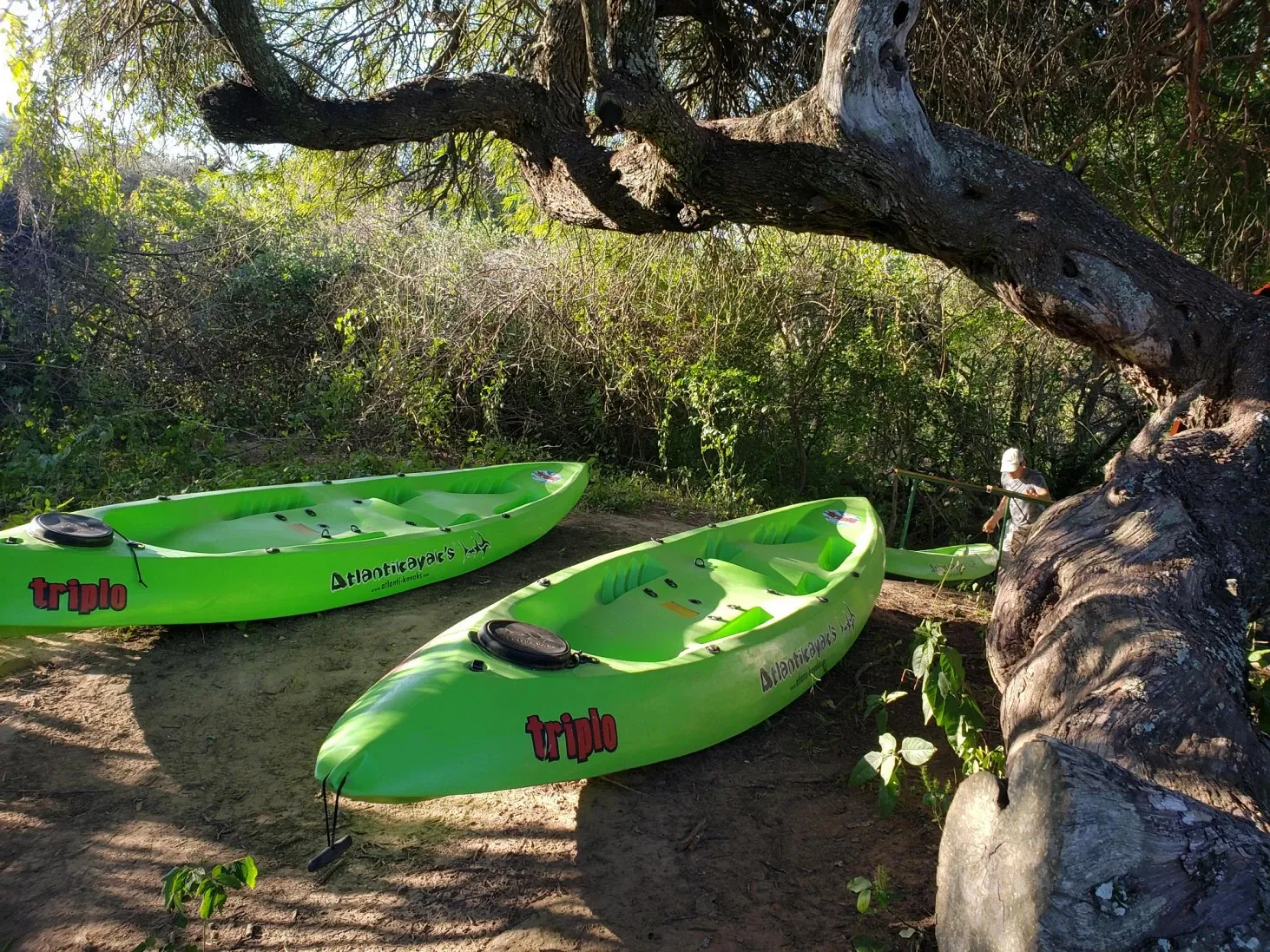 Paisaje de montaña 14