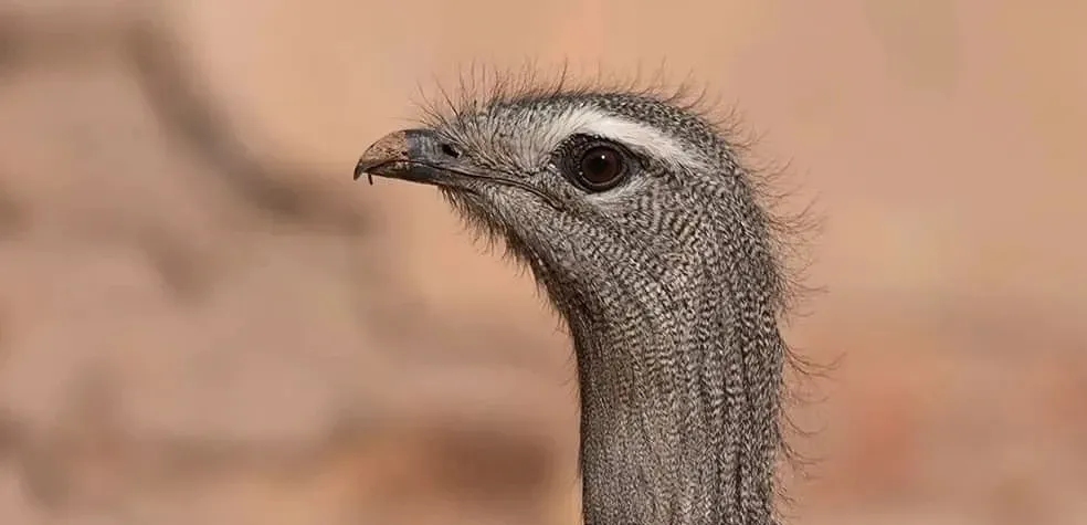 Paisaje de montaña 17