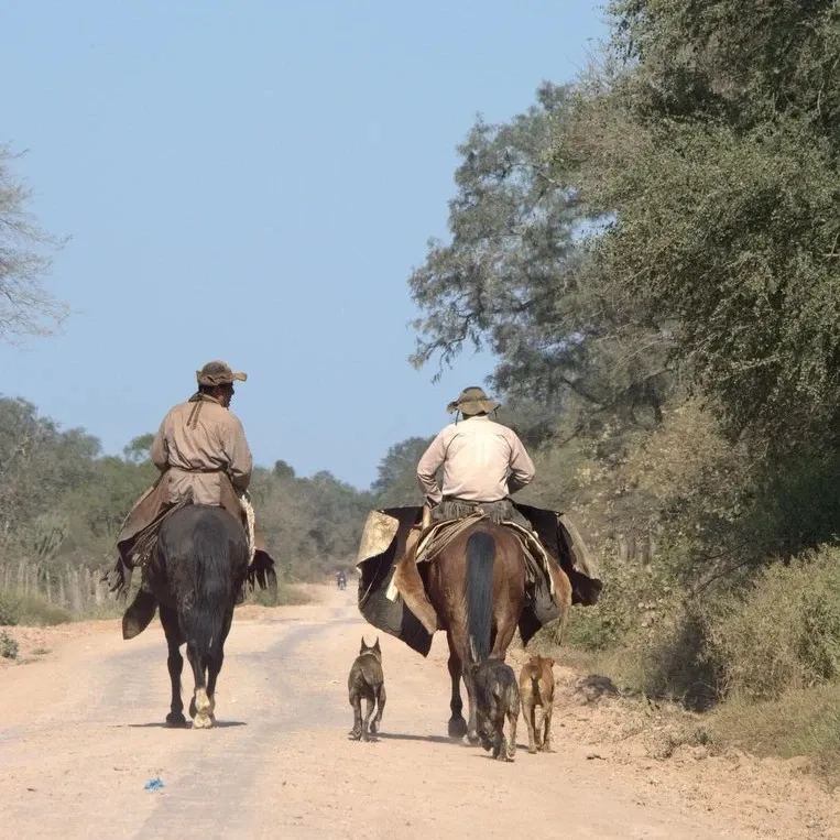 Paisaje de montaña 20