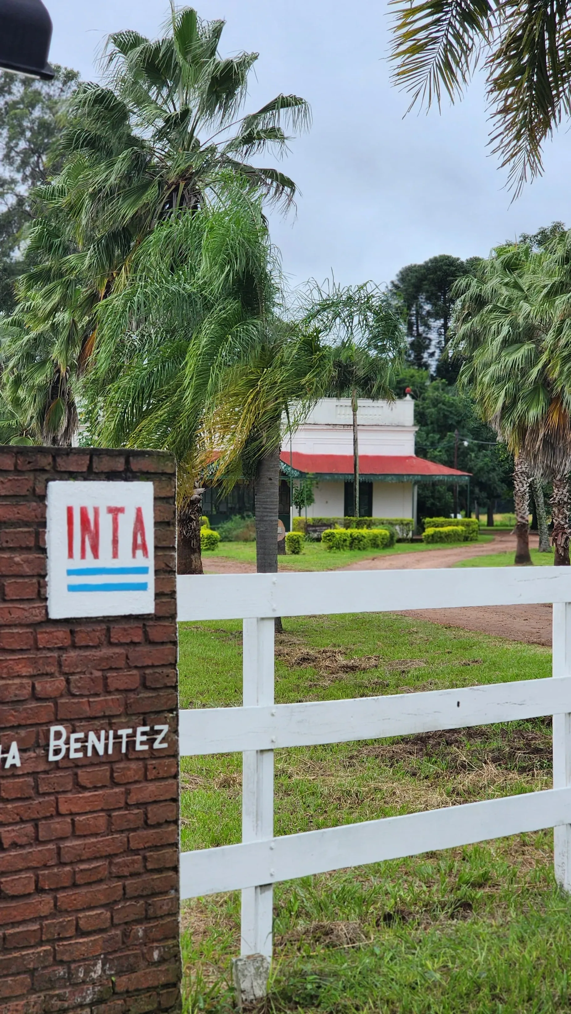 Paisaje de montaña 9