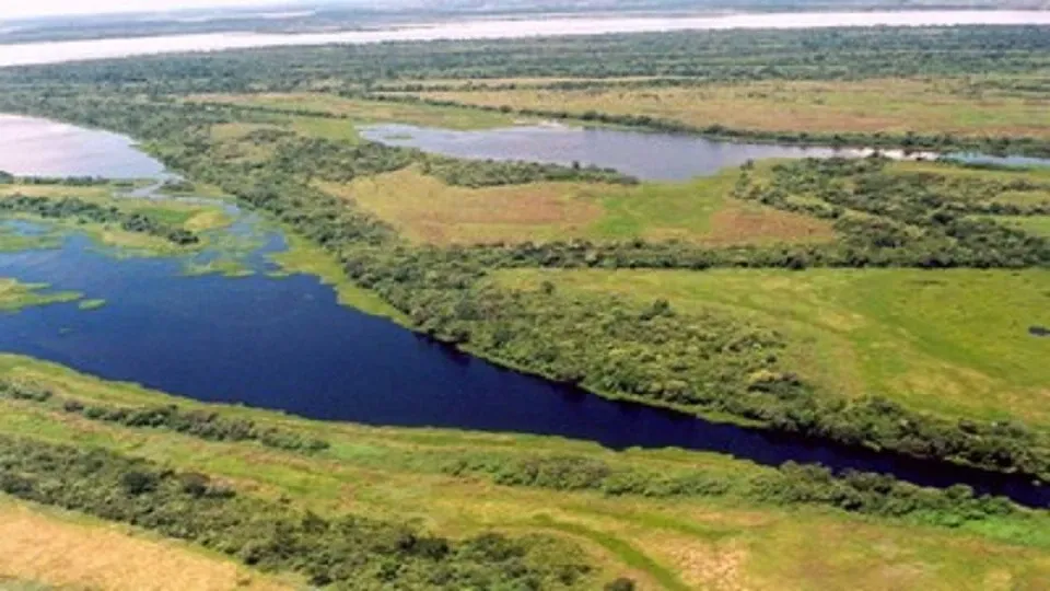 Paisaje de montaña 7