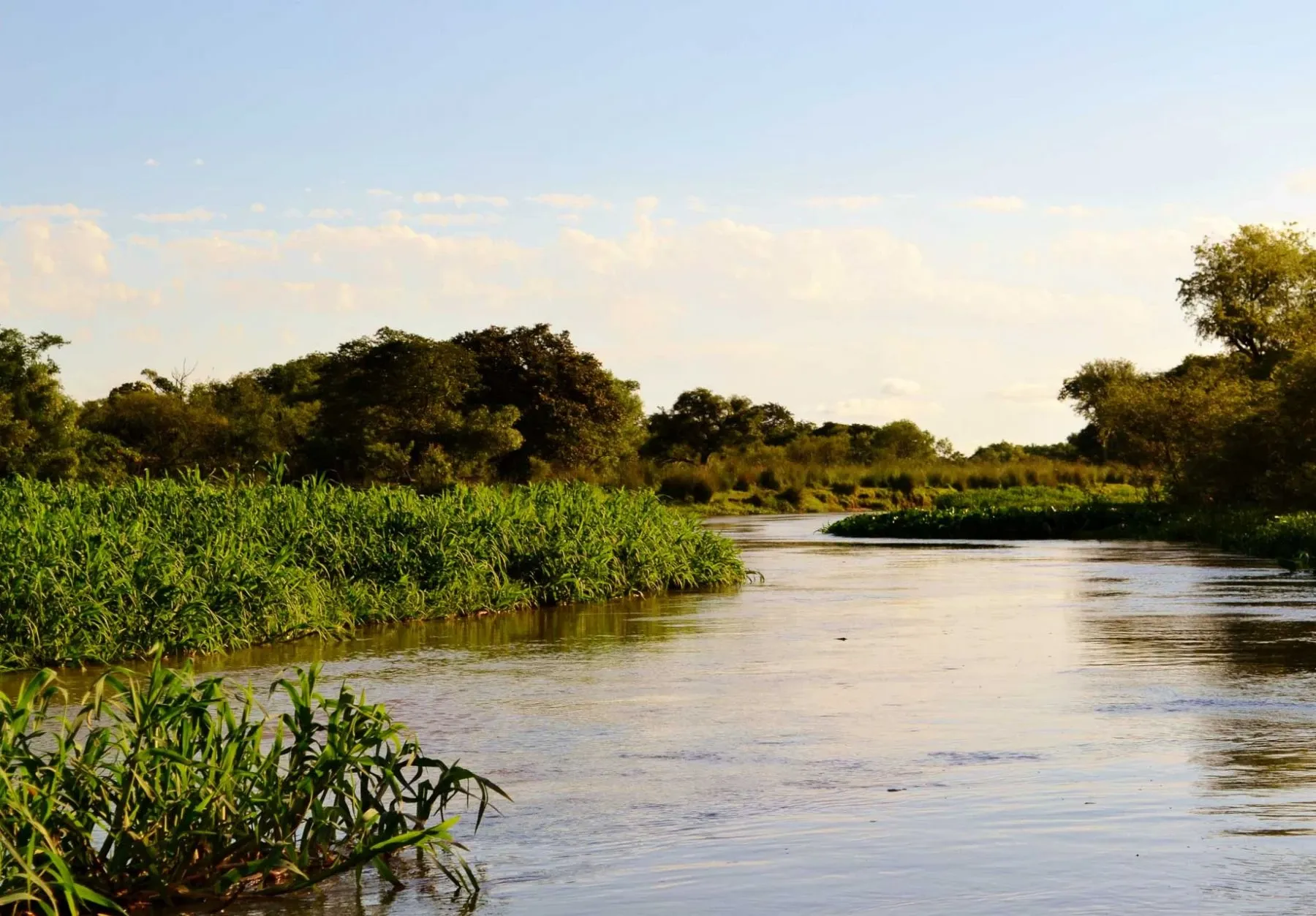 Paisaje de montaña 8