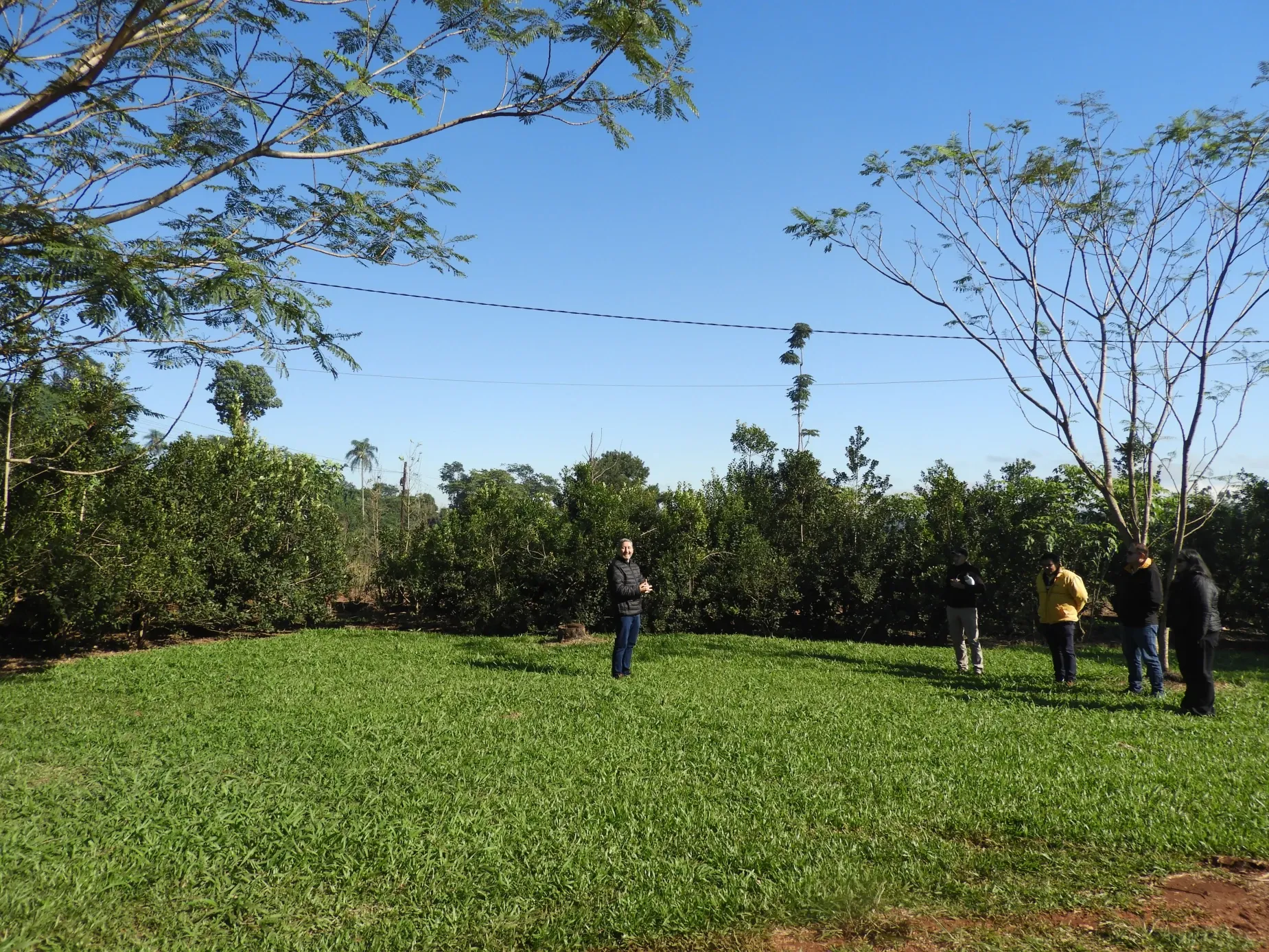 Paisaje de montaña 4