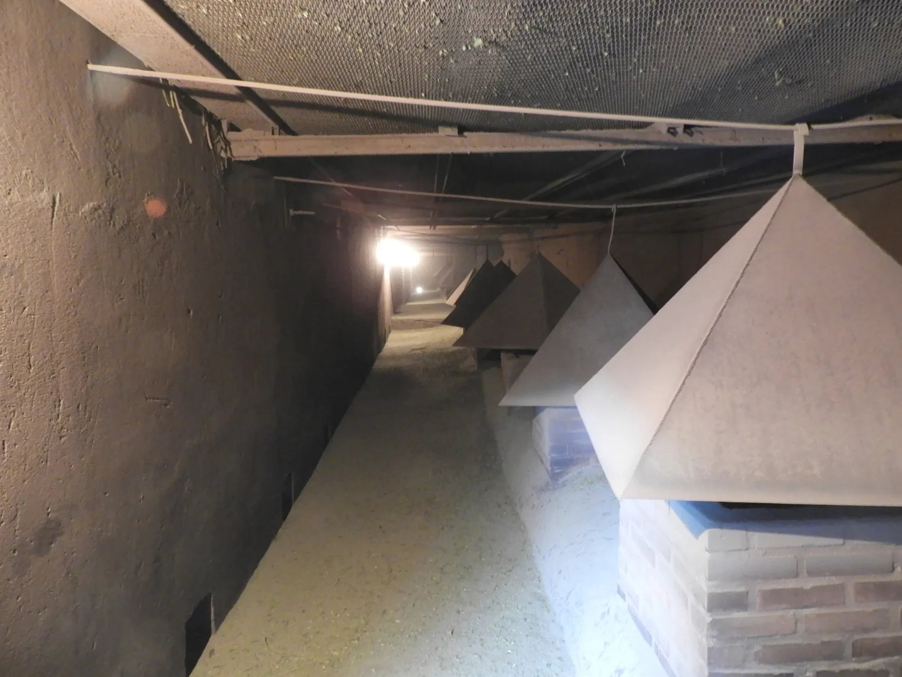 Paisaje de montaña 5