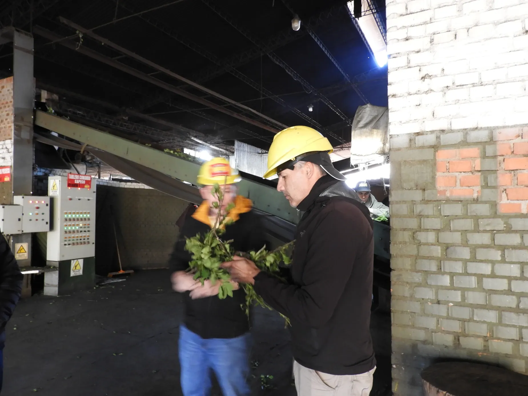 Paisaje de montaña 6