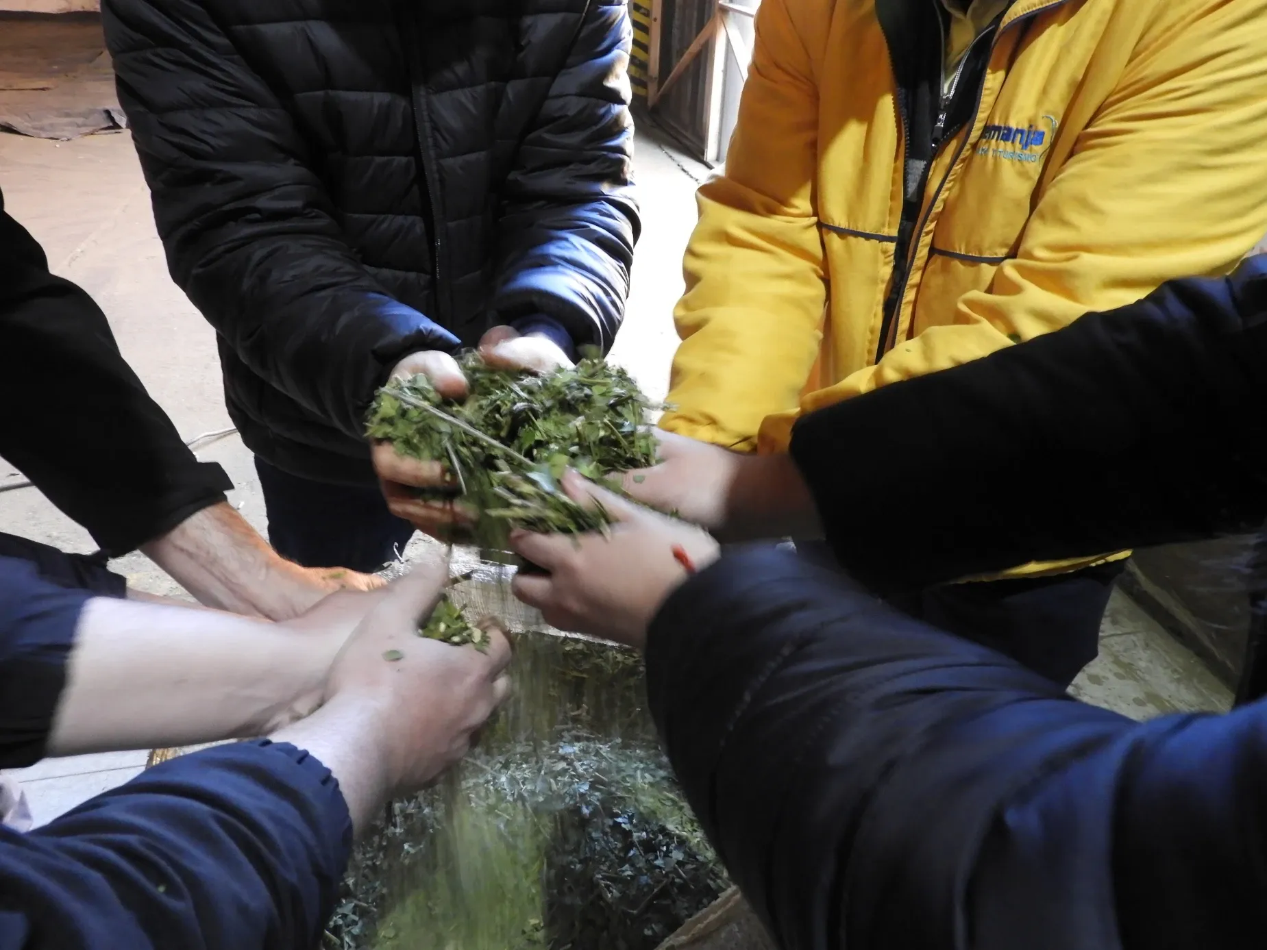 Paisaje de montaña 9