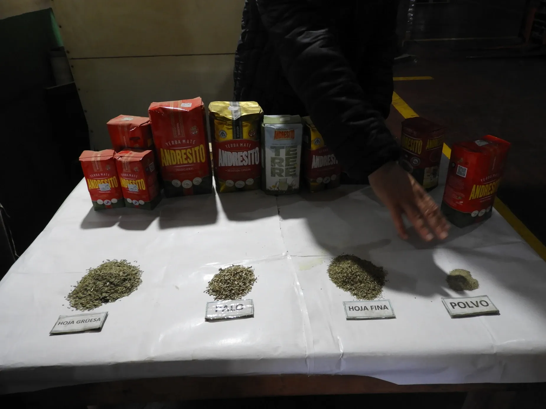 Paisaje de montaña 10