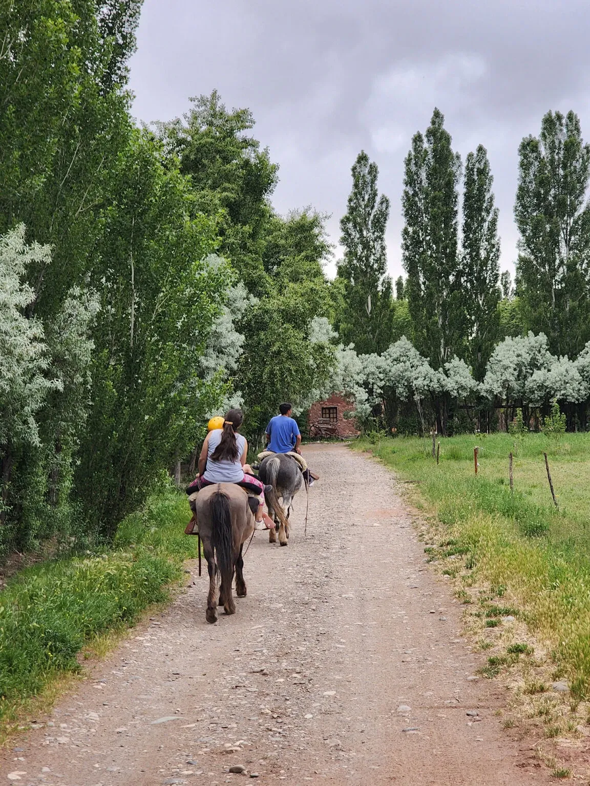 Paisaje de montaña 3