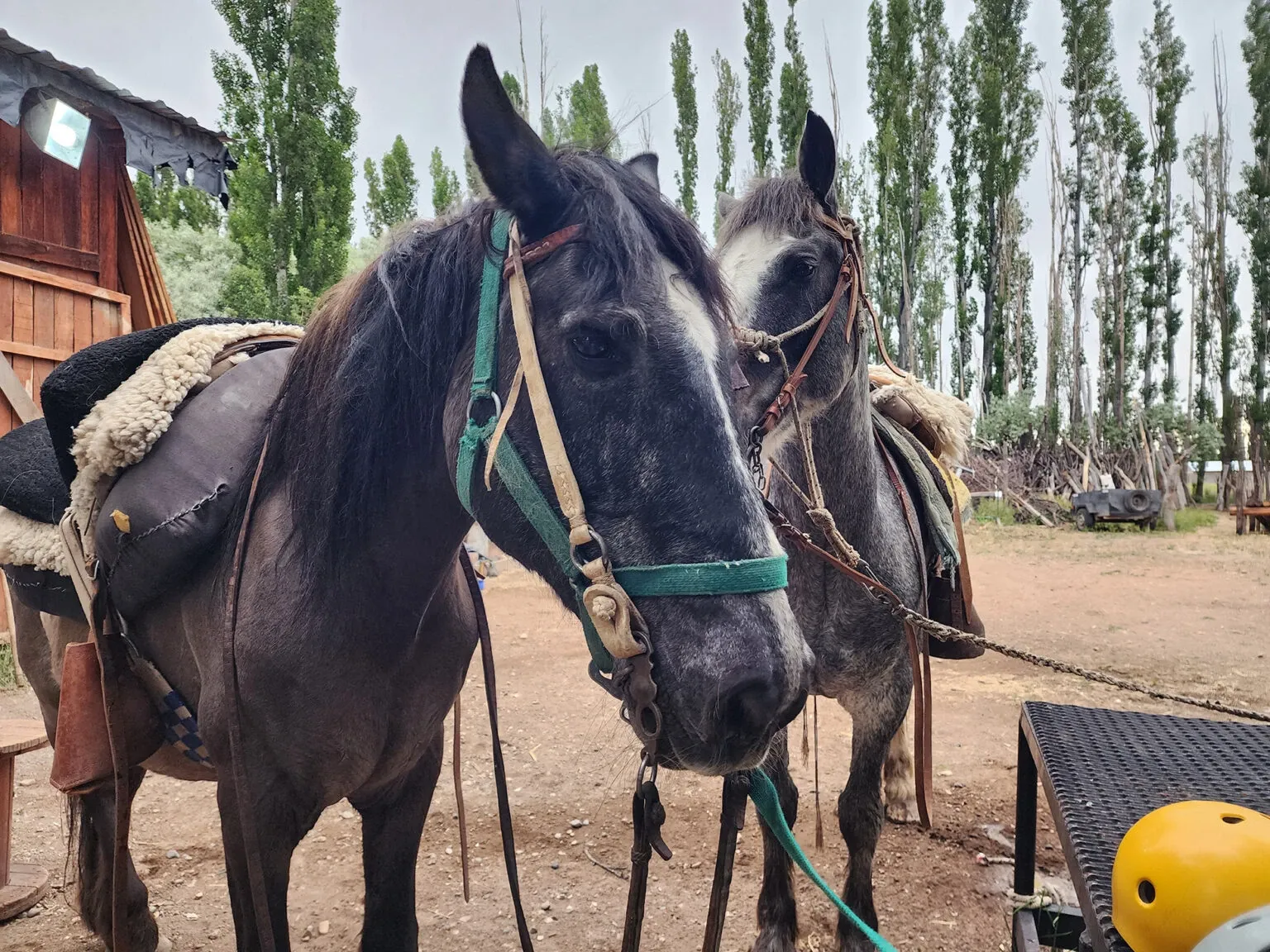 Paisaje de montaña 5