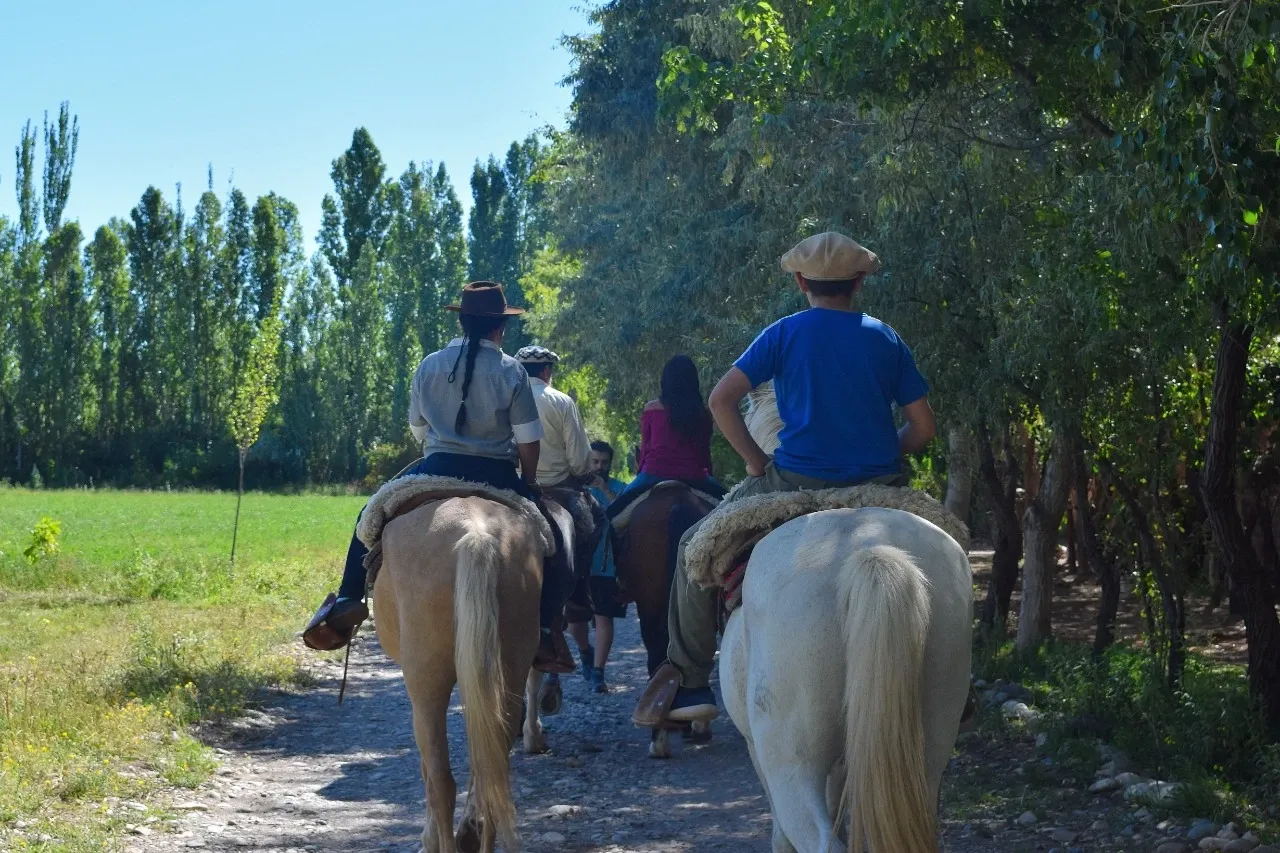 Paisaje de montaña 6