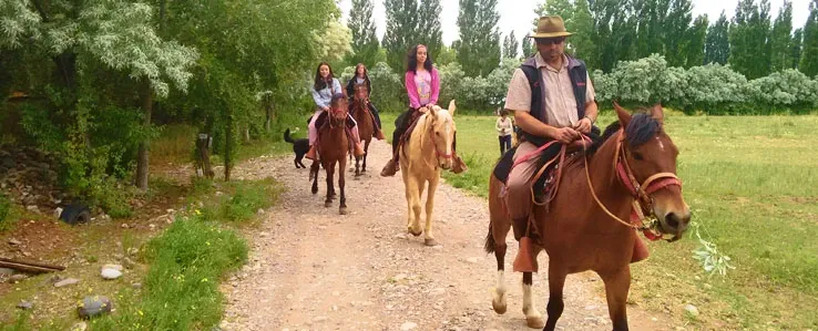 Paisaje de montaña 7