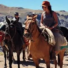 Paisaje de montaña 10