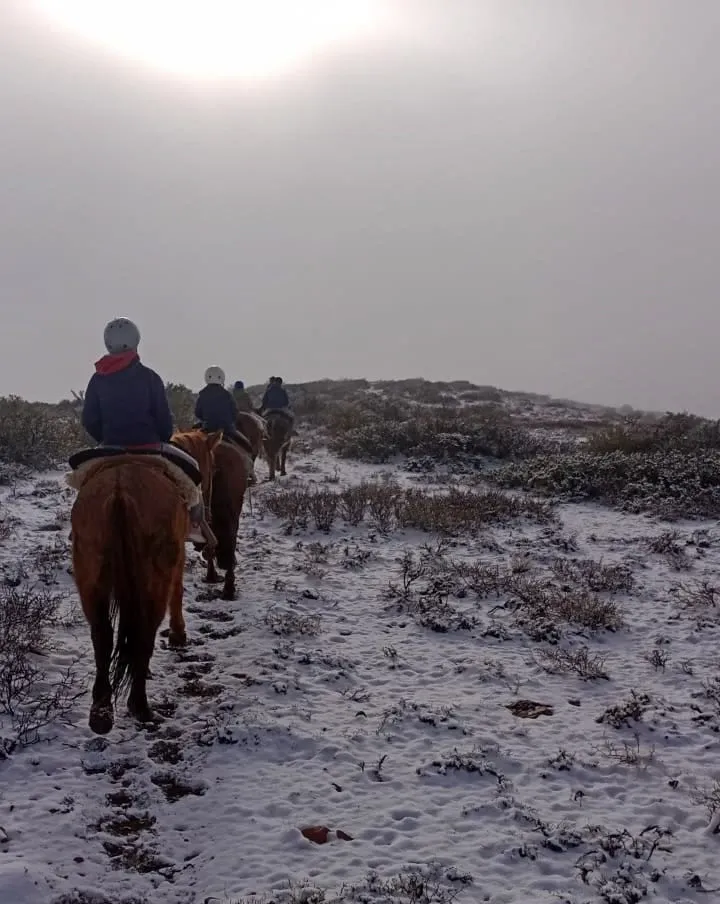 Paisaje de montaña 11