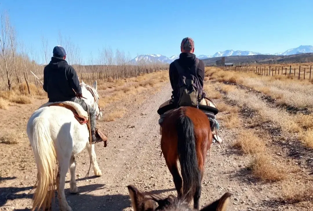 Paisaje de montaña 12