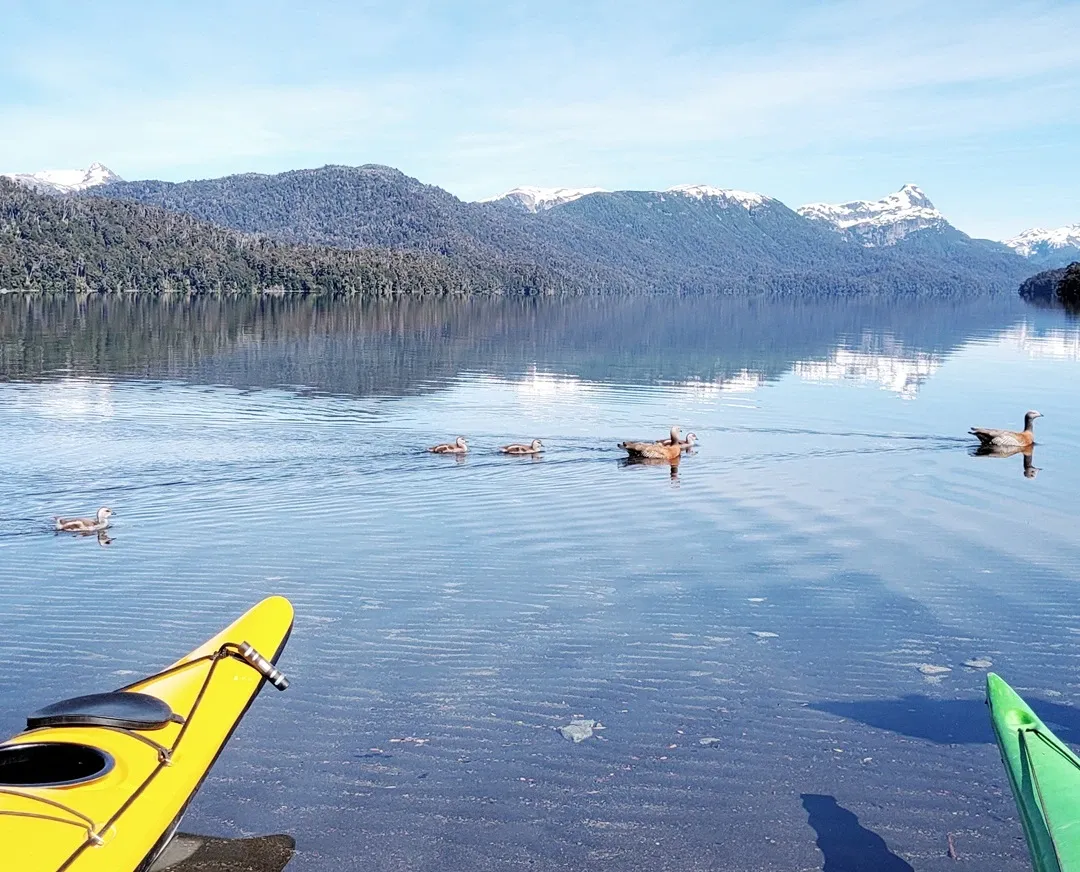Paisaje de montaña 5