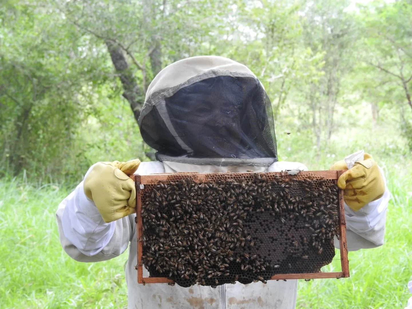 Paisaje de montaña 5