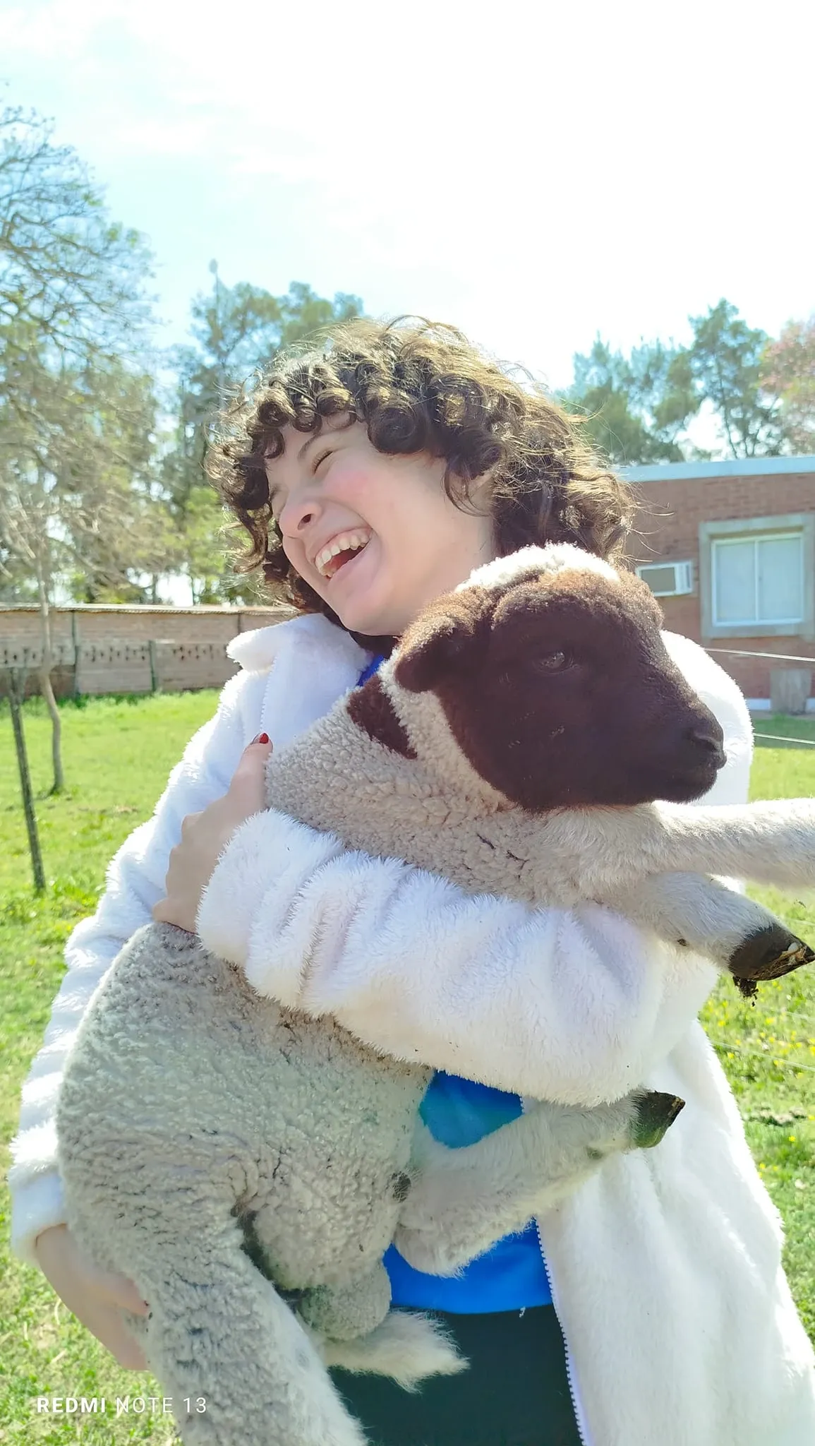 Paisaje de montaña 8