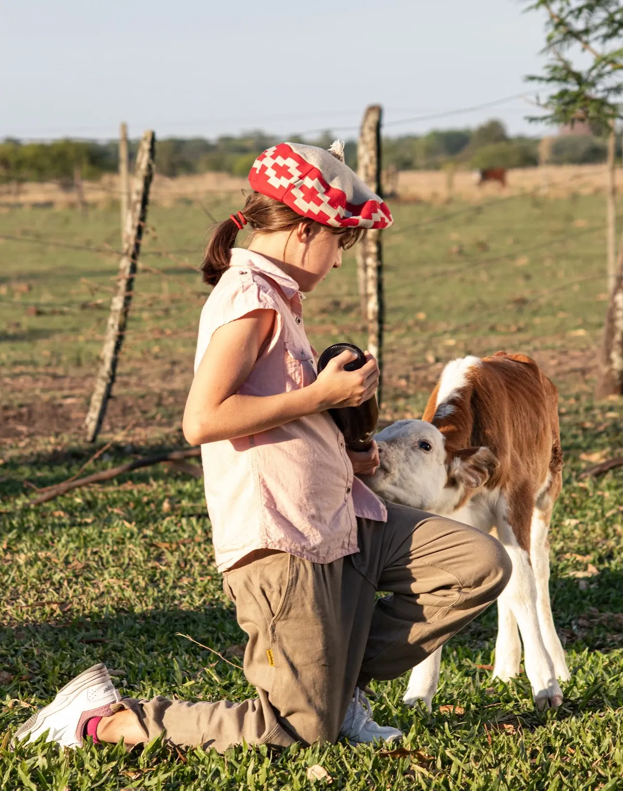 Paisaje de montaña 9