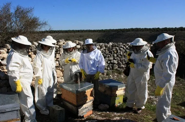 Paisaje de montaña 10