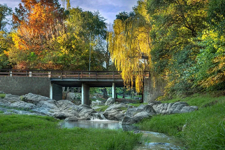 Paisaje de montaña 8